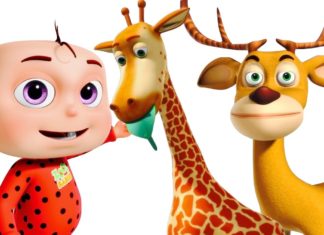 Réalisateur de films d’animation 3D – modélise et anime…