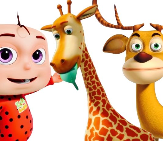 Réalisateur de films d’animation 3D – modélise et anime…